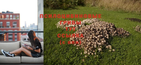 ешки Богданович