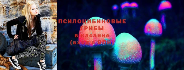 мдма Богородицк